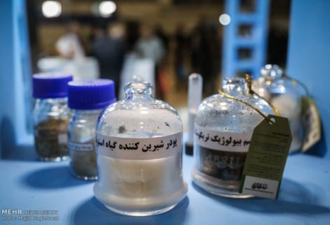 همکاری ۱۳۲ شرکت دانش بنیان در تقسیم کار ملی زیست فناوری
